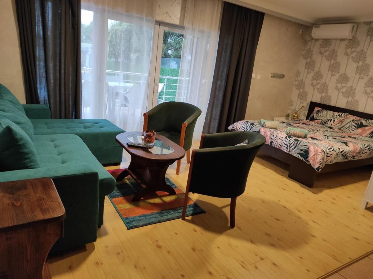Vila Mila Riverside Apartments 斯梅代雷沃 外观 照片