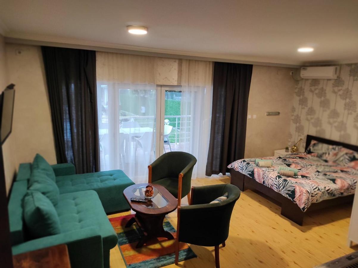 Vila Mila Riverside Apartments 斯梅代雷沃 外观 照片