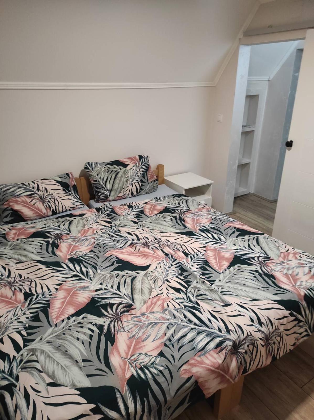 Vila Mila Riverside Apartments 斯梅代雷沃 客房 照片