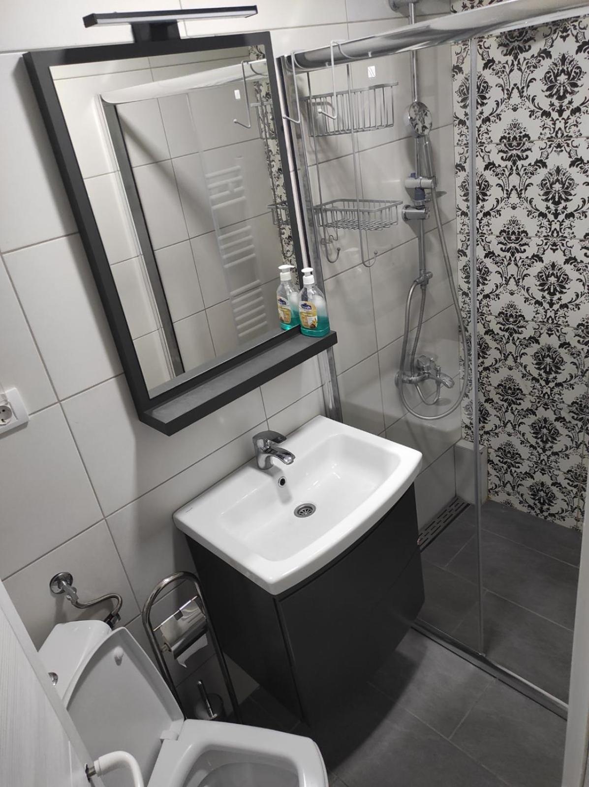 Vila Mila Riverside Apartments 斯梅代雷沃 客房 照片