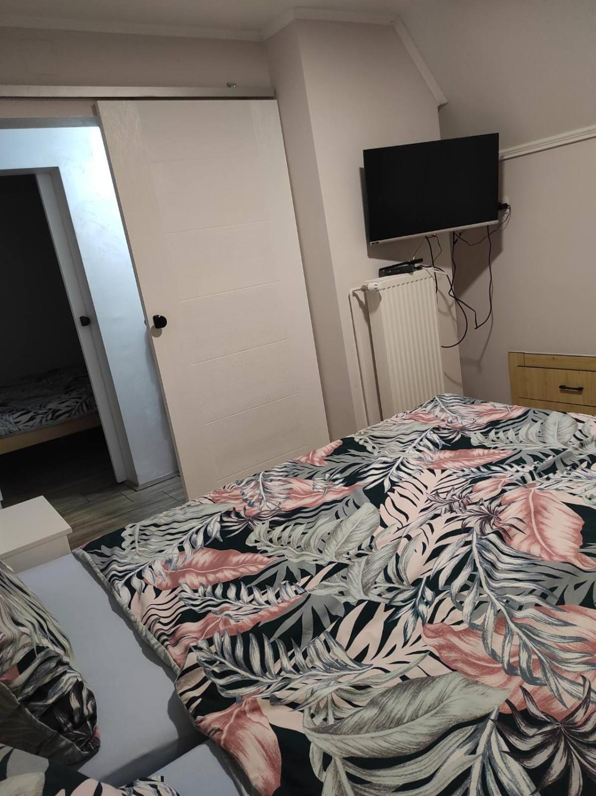 Vila Mila Riverside Apartments 斯梅代雷沃 客房 照片