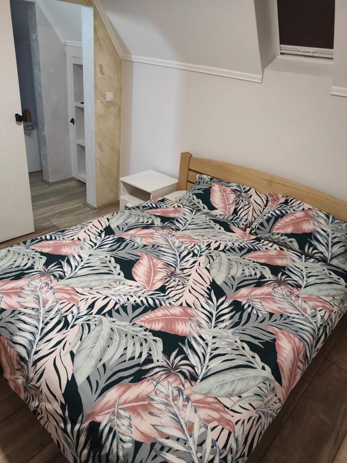 Vila Mila Riverside Apartments 斯梅代雷沃 客房 照片